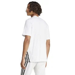 Herren T-Shirt Regular Fit