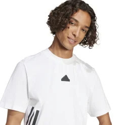 Herren T-Shirt Regular Fit