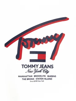 Herren T-Shirt SIGNATUR-LOGO Regular Fit