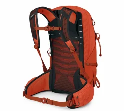 Herren Wanderrucksack TALON PRO 20