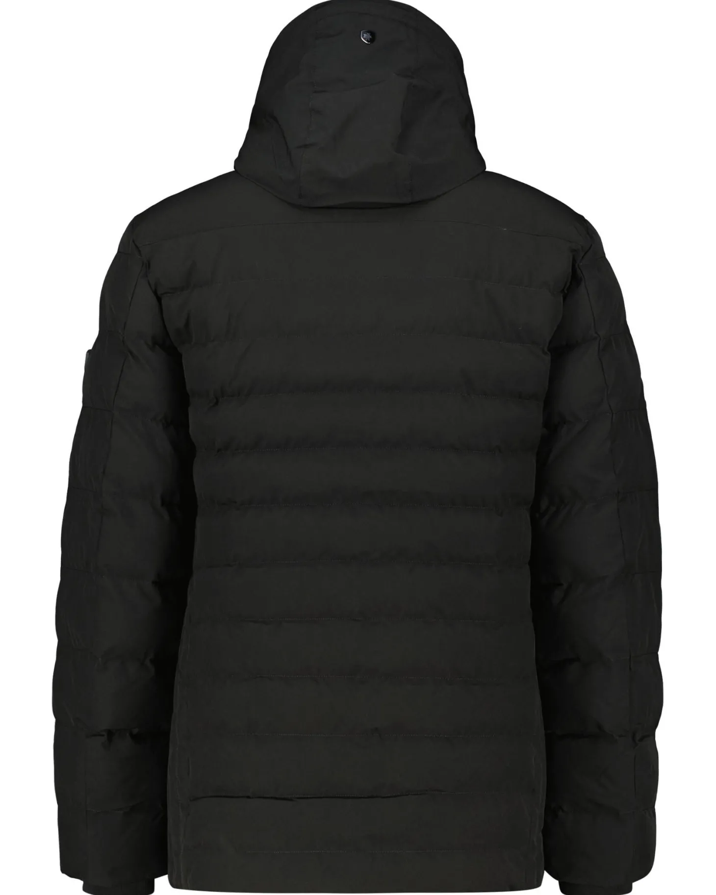 Herren Winterjacke CARM-565