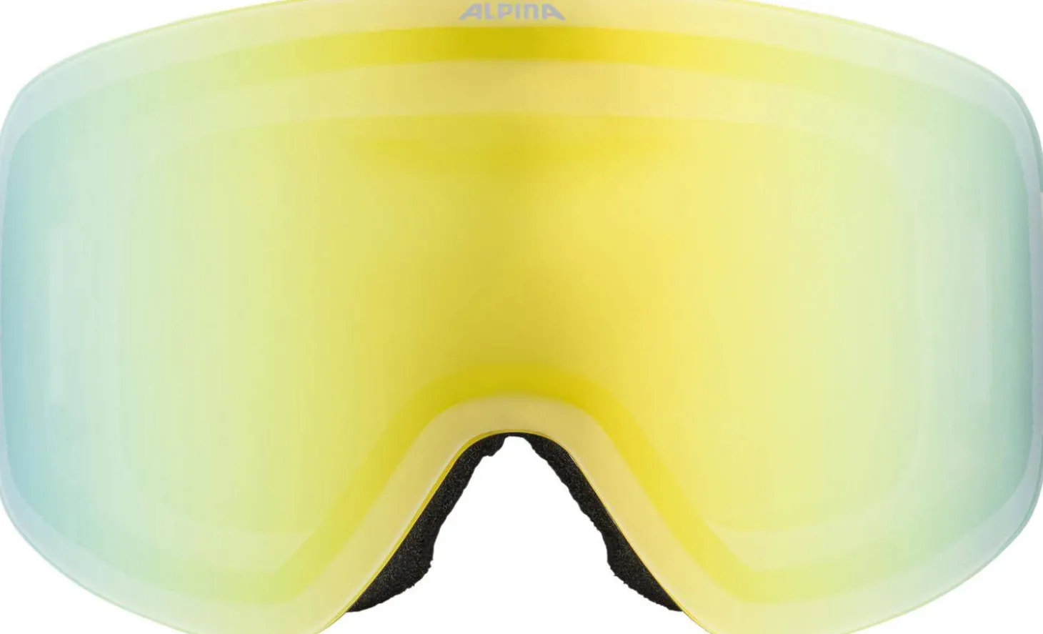 Skibrille PENKEN